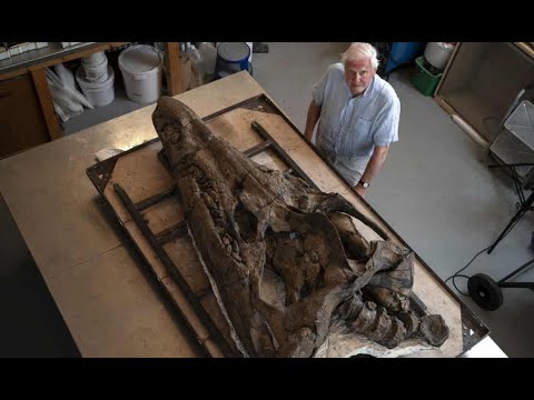 Skull of Colossal Prehistoric 'Sea Monster' Found in Dorset Cliffs of England!