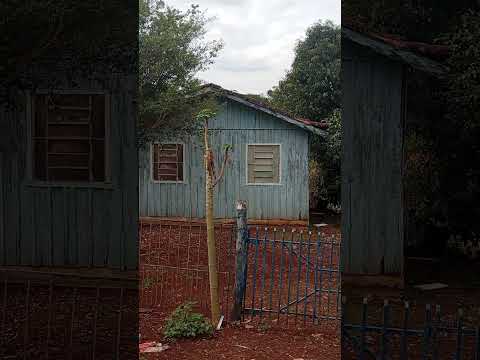 Mais Casas Antigas Em Barbosa Ferraz PR