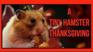 A Tiny Hamster Thanksgiving (Ep. 4)