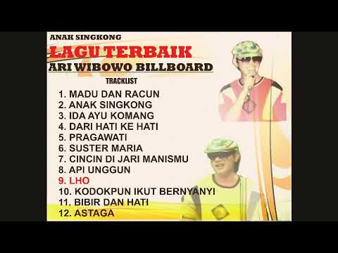 Madu dan Racun ( Ari Wibowo )