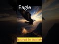 The Eagle in Bible#Bible@Eagle#Strength