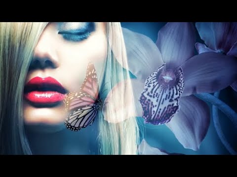 Stive Morgan - Soul Sparks