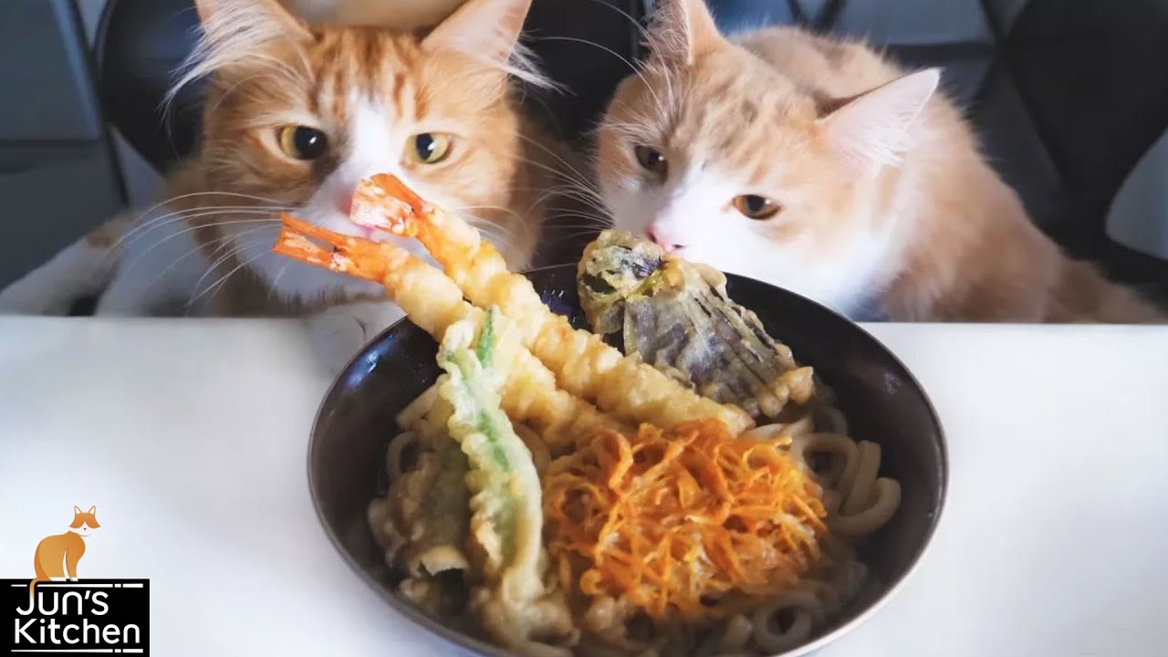 手打ち天ぷらうどん