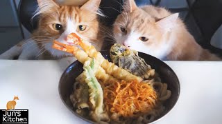 Tempura Udon Noodles