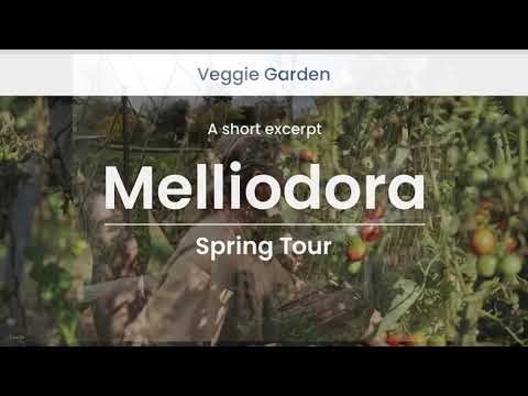 Vegetable Garden (excerpt)