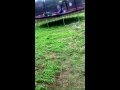 Boombox Smash