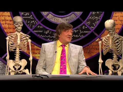 QI XL - H02 - Hanatomy