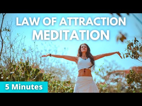 Law of Attraction Meditation 5 Minutes | Attract the Life of Your Dreams