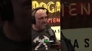 Joe Rogan: Exploring the Incredible Films of Benicio del Toro  From Sicario to Hell or High Water