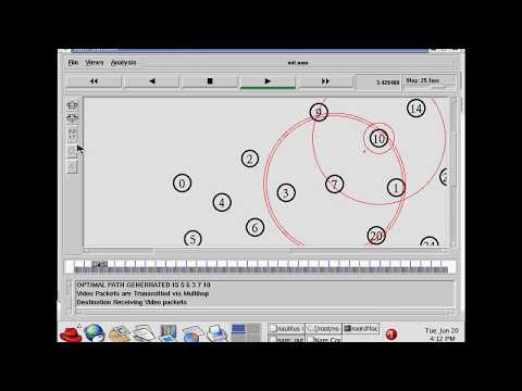 A Distortion-Resistant Routing Framework for Video Traffic in Wireless Multihop Networks