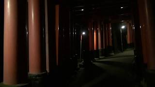 preview picture of video '20140828の夜に伏見稲荷大社を歩きました。(Fushimi-Inari-taisha at 20140828)'