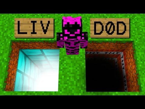 MIN SØSTER BLIVER TROLLET!? Dansk Minecraft