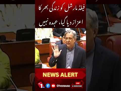 فیلڈ مارشل کو زندگی بھر کا اعزاز دیا، عہدہ نہیں، اعظم نذیر