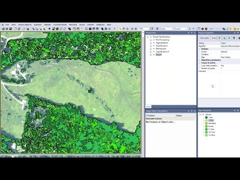 Webinar: eCognition for Beginners