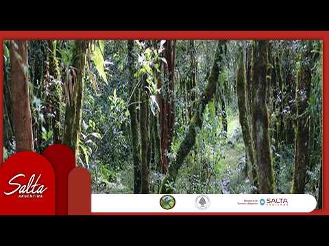 Jornada de actualización. Parque Nacional Baritú y Reserva Nacional El Nogalar