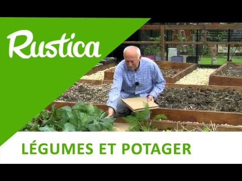 comment traiter pelouse contre mauvaises herbes