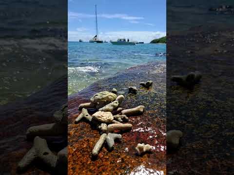 fitzroy island part 1