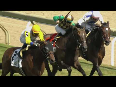 Flintshire Favored in 2016 Bowling Green