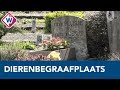 Al vijftig jaar dierenbegraafplaats in Zevenhoven: 'Hier rust mijn trouwe gans Wammes' - OMROEP WEST
