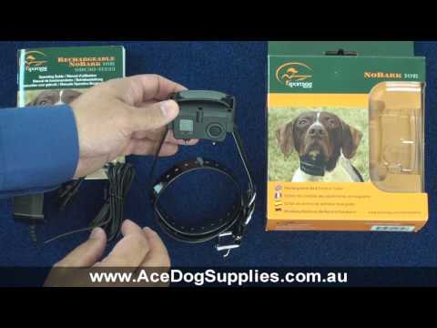 Bark Collar Review - SportDog SBC-10