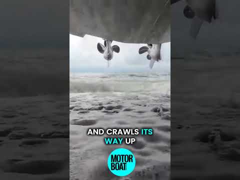 Who needs marinas and slipways? The Iguana X100 can just drive right up the beach! #Shorts | MBY