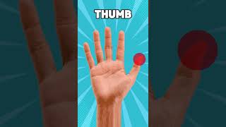 Learning Hand Fingers for Kids - Fun and Easy Way to Master Finger Names!