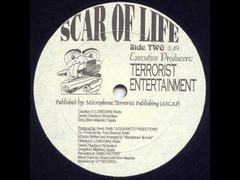 Microphone Terrorists - Scar Of Life