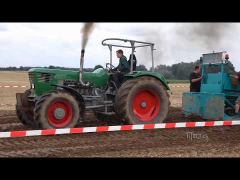 Trecker Treck Bestenrade neu JM Deutz 8006 ! MTS Power Traktor  - Party