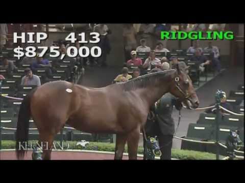 2014 September Yearling Sale - Hip 413 (Bernardini - Yellow Heat)