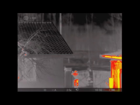 Mateusz Jaworski – transmisja na żywo