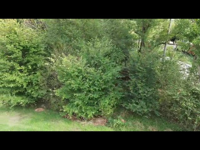 COD.2830B VILLETTA DI TESTA A POCHI MINUTI DA MIRANDOLA