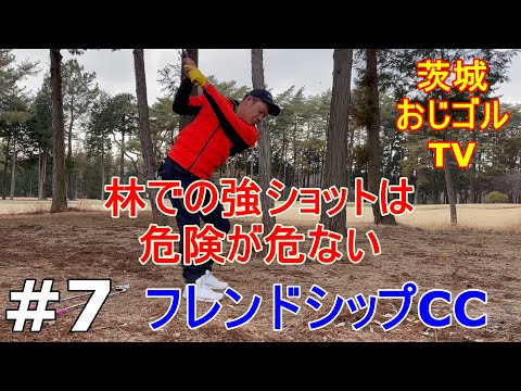 #7 [#Friendship CC] Existem muitos perigos na floresta