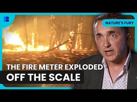 Marysville Firestorm Black Saturday Inferno 2009 | Nature's Fury