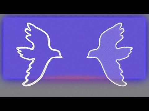 Jim Alxndr, Lido - Live In Pretend (Official Video)