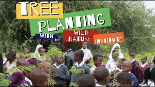 Tree Planting with the Wild Nature Institute