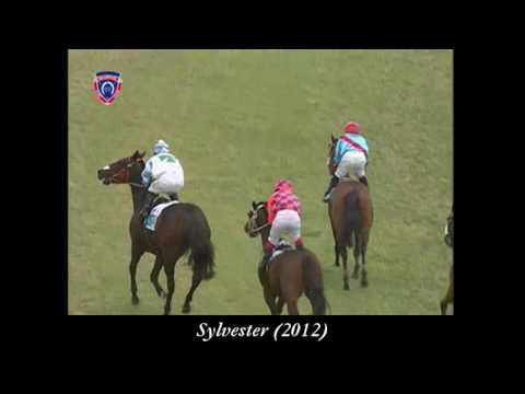 Les 10 meilleurs montes de Noel Callow au Champs de Mars