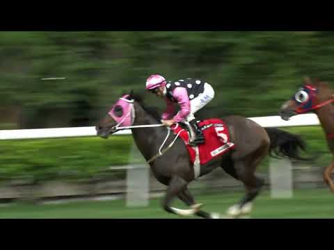 14/9/2022 (18) Beauty Glory - Z Purton