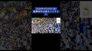 阪神対中日試合ハイライト