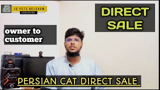 how to sale persian cat | how to sell persian cat | ig pets