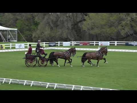 Chester Weber | World Four-in-Hand Driving Champion 3-5-2020 ANGLE 1