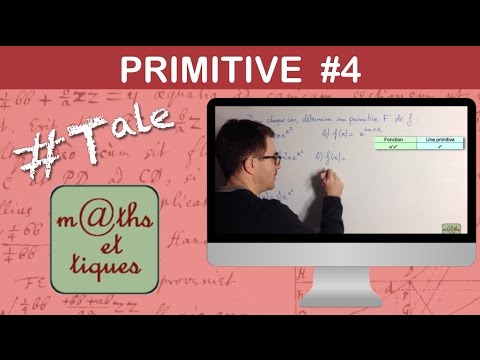 Calculate a primitive (4) - Terminale