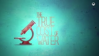 Veolia - True Cost of Water