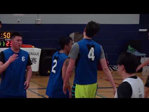 Bumble Bees vs Wings | Sunday Tier 5 - Tcbl 2018 Spring Finals