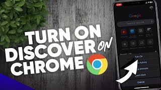 How to turn on Discover on Google Chrome