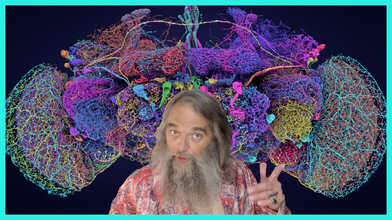 Fruit Fly Brain Plays DOOM & Other Shenanigans