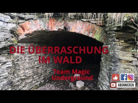 Die Überraschnug im Wald