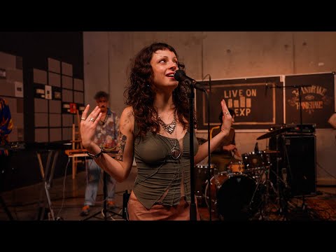Mandrake Handshake - Full Performance (Live on KEXP)