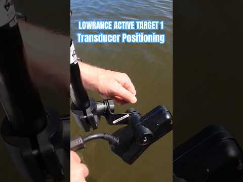 Lowarance Active Target Positioning #fishing #lowranceactivetarget #activetarget