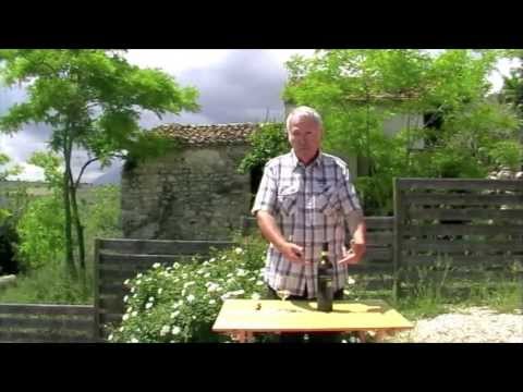 Italy Vino 30 - Fiano di Avellino DOCG