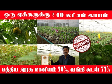 ஒரு ஏக்கருக்கு ₹ 40 லட்சம் சம்பாதிக்கலாம் !!! Govt Subsidy 50% | Bank Loan 75%